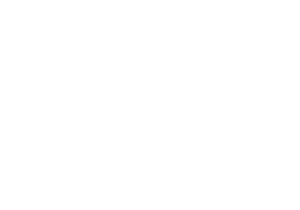 logo_Mesa de trabajo 1 copia